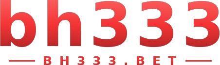 bh333 logo